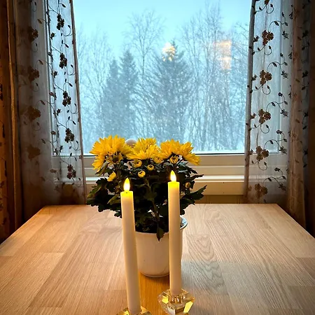 Senja, 2 Bedroom Apartment, Surrounded By The Northern Lights And The Midnight Sun